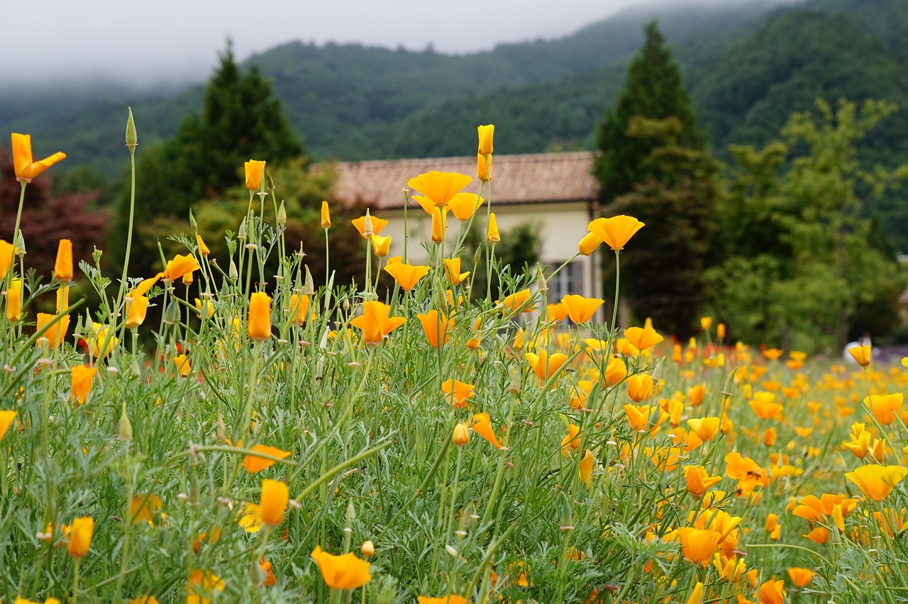 昆仑娱乐，注册|乐清注册财务代理咨询服务