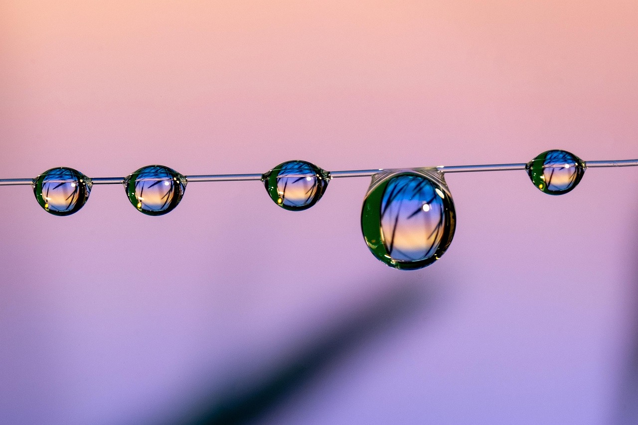 cc网页端|音乐之家app详情下载教程