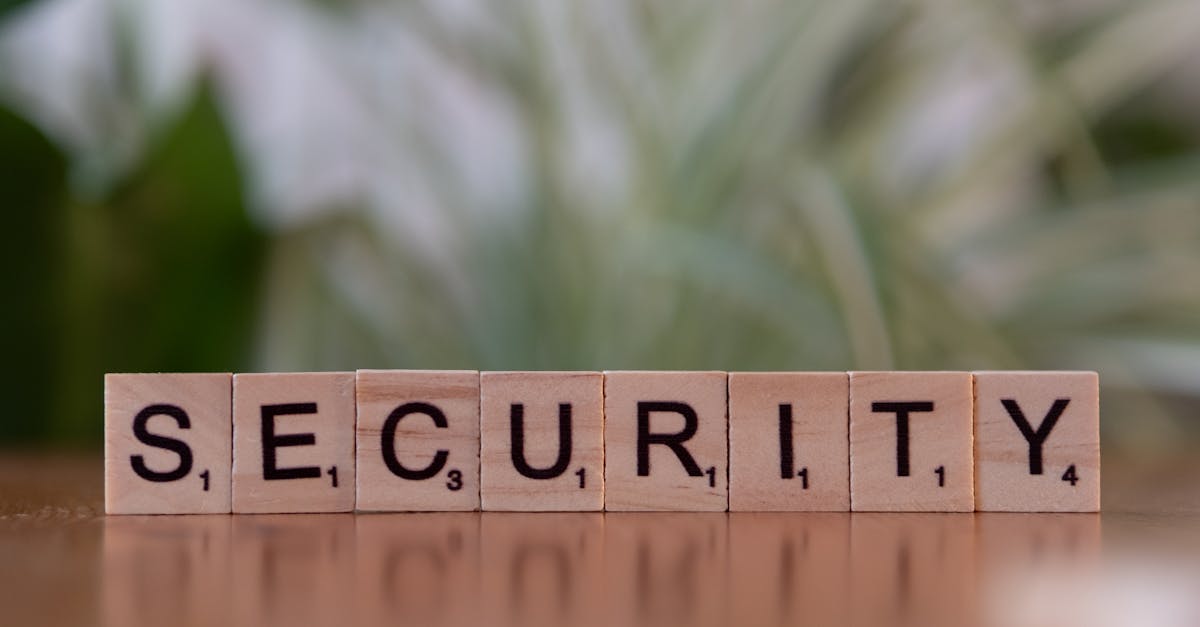 快点三国辅助- 面包车分期购买平台