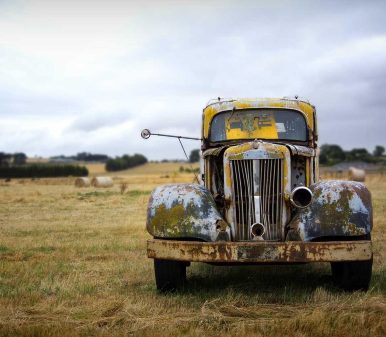 绝区零：永修宠物购买平台