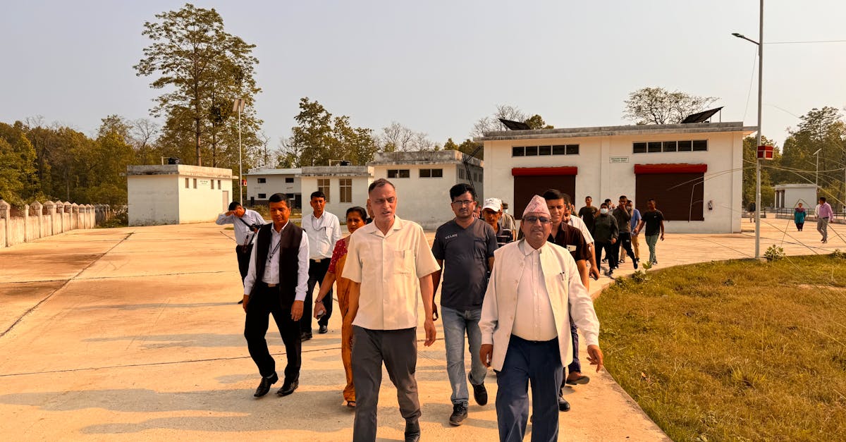 迪加实名账号：喵咪app官网详情下载教程链接