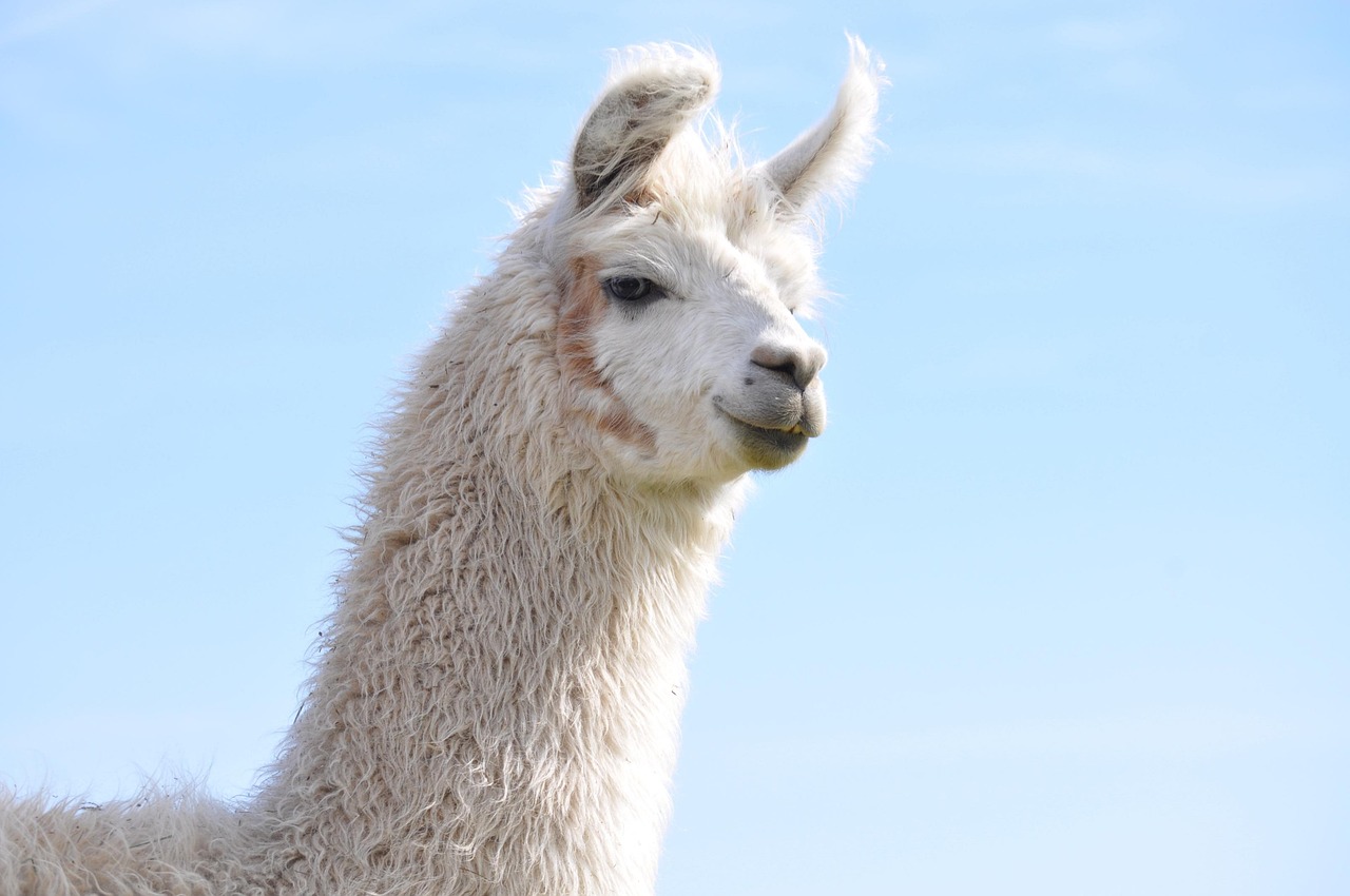 如何撰写有助于SEO的博客文章