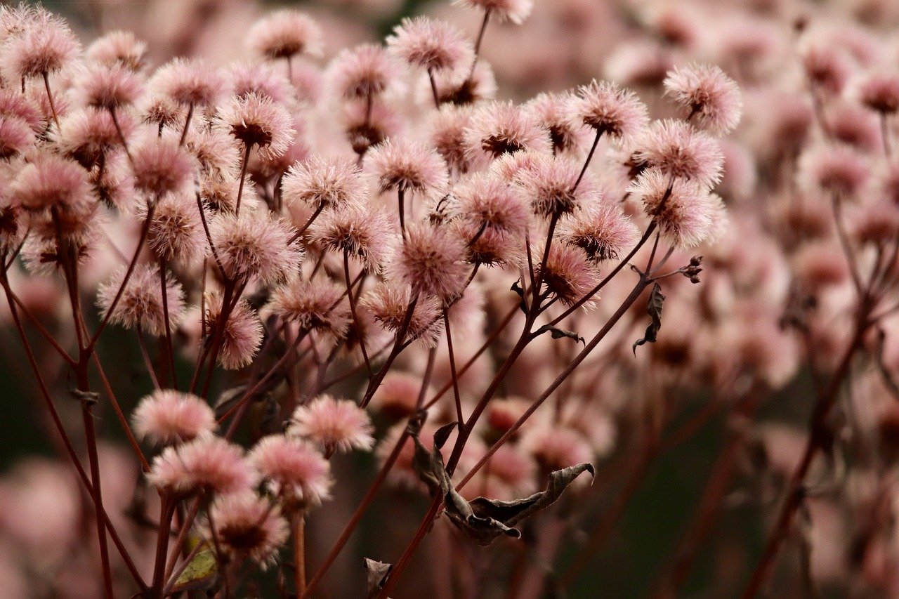 游戏玩家如何避免被技术支持辅助利用