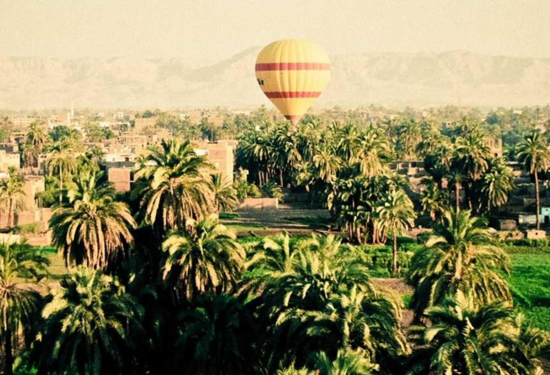 免费DDOS攻击平台|ip地址购买平台